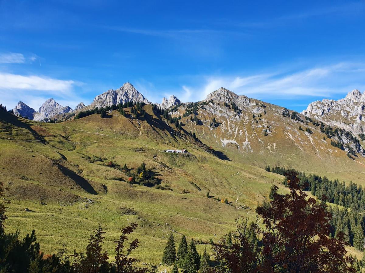 Alpenhof Waengle Aparthotel รอยท์เทอ ภายนอก รูปภาพ